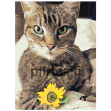 Maalaa numeroilla ets520-3040