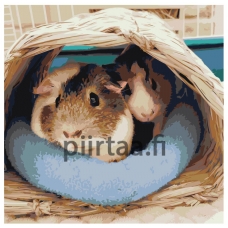 Maalaa numeroilla ets523-4040