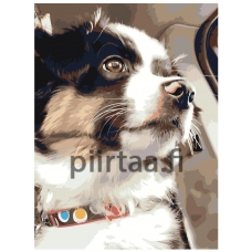 Maalaa numeroilla ets524-3040