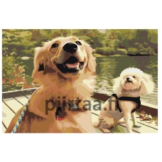 Maalaa numeroilla ets530-4060