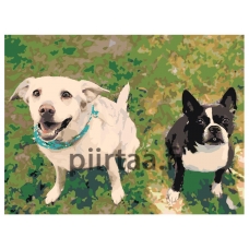 Maalaa numeroilla ets536-30401