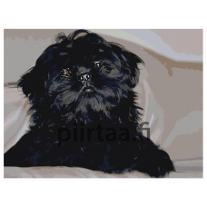 Maalaa numeroilla ets544-3040