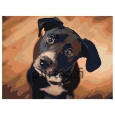 Maalaa numeroilla ets544-4-30401