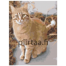 Maalaa numeroilla ets544-5-30401