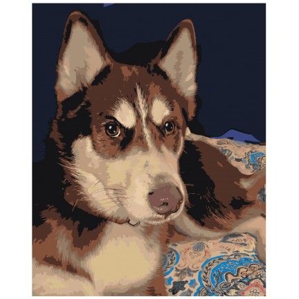 Maalaa numeroilla ets548-40501