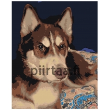 Maalaa numeroilla ets548-40501