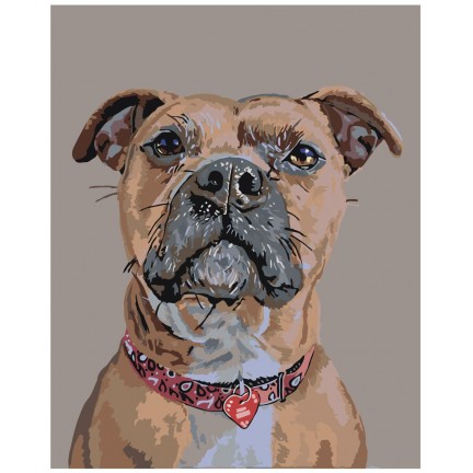 Maalaa numeroilla A101