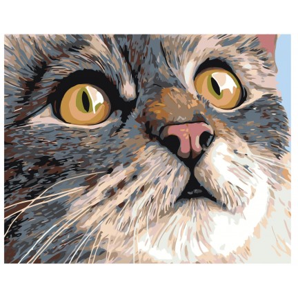 Maalaa numeroilla A106