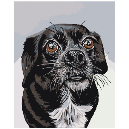 Maalaa numeroilla A107