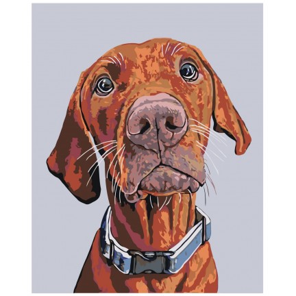 Maalaa numeroilla A108