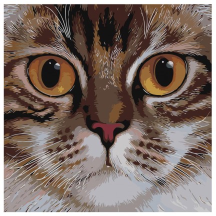 Maalaa numeroilla A109