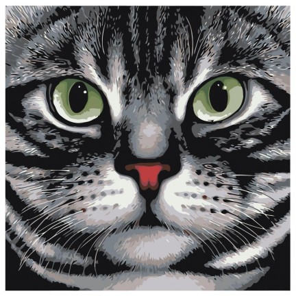 Maalaa numeroilla A119 Maalaa numeroilla A119