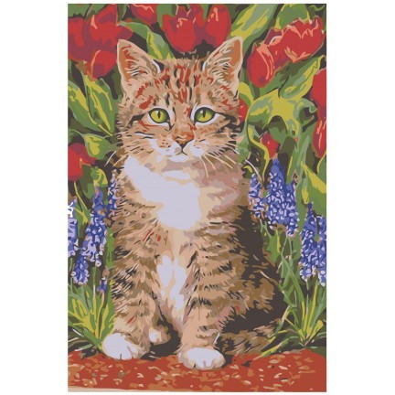 Maalaa numeroilla A120 Maalaa numeroilla A120