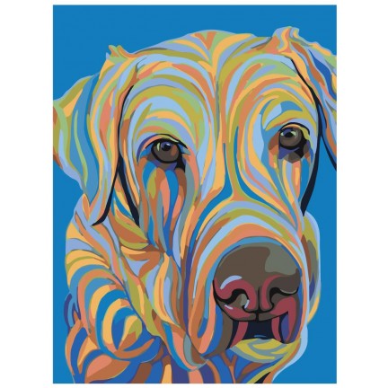 Maalaa numeroilla A145