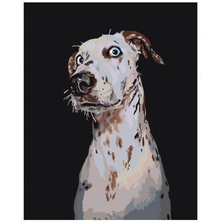 Maalaa numeroilla A151 Maalaa numeroilla A151