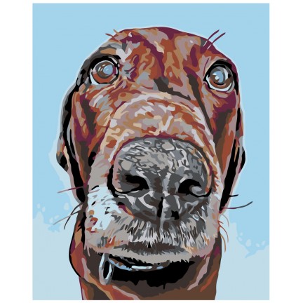 Maalaa numeroilla A152 Maalaa numeroilla A152