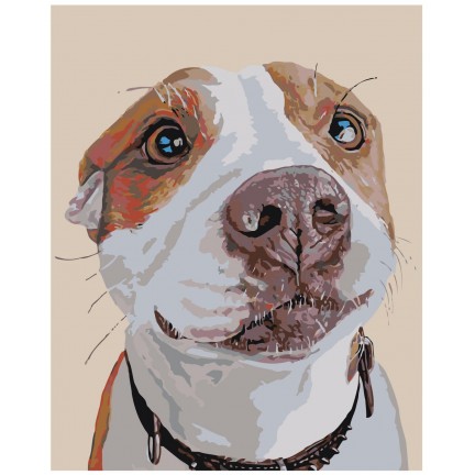 Maalaa numeroilla A153 Maalaa numeroilla A153