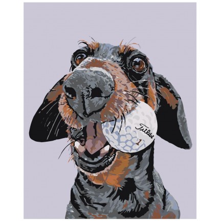 Maalaa numeroilla A155