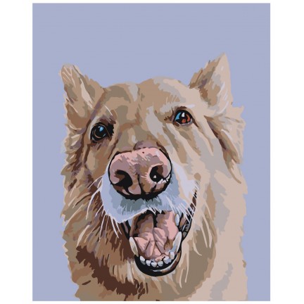 Maalaa numeroilla A156