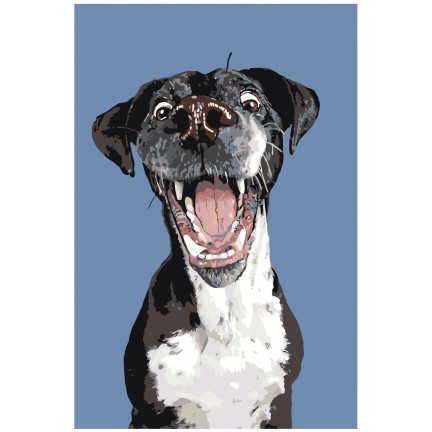 Maalaa numeroilla A165