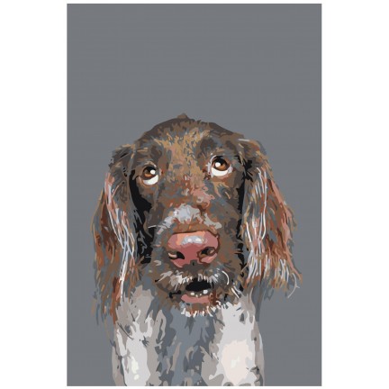 Maalaa numeroilla A170