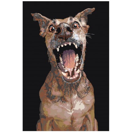 Maalaa numeroilla A171 Maalaa numeroilla A171