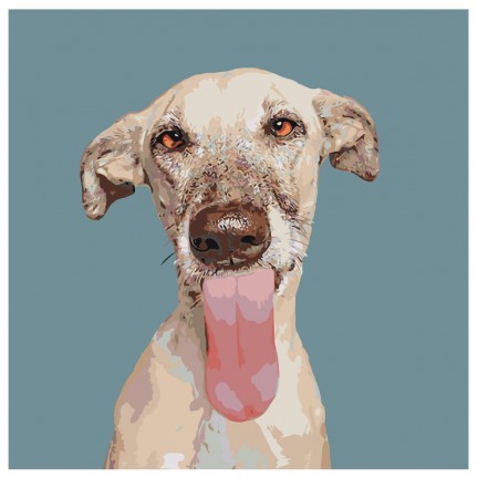 Maalaa numeroilla A172