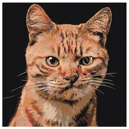 Maalaa numeroilla A207 Maalaa numeroilla A207