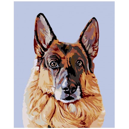 Maalaa numeroilla A214