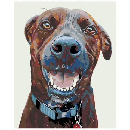 Maalaa numeroilla A219