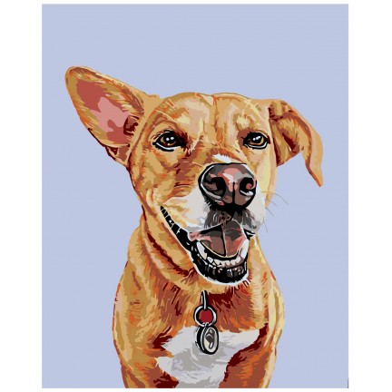 Maalaa numeroilla A221 Maalaa numeroilla A221