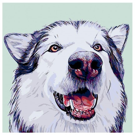 Maalaa numeroilla A231