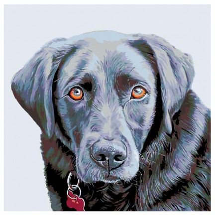 Maalaa numeroilla A232