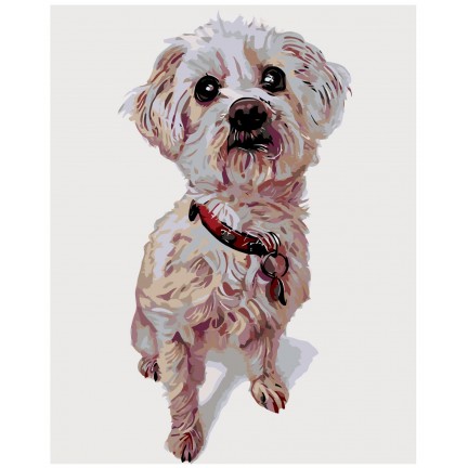 Maalaa numeroilla A236 Maalaa numeroilla A236