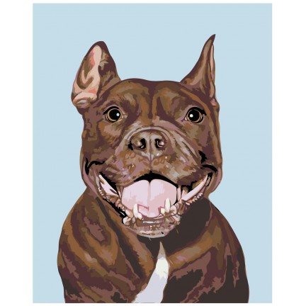 Maalaa numeroilla A247