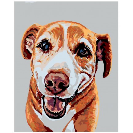 Maalaa numeroilla A249 Maalaa numeroilla A249