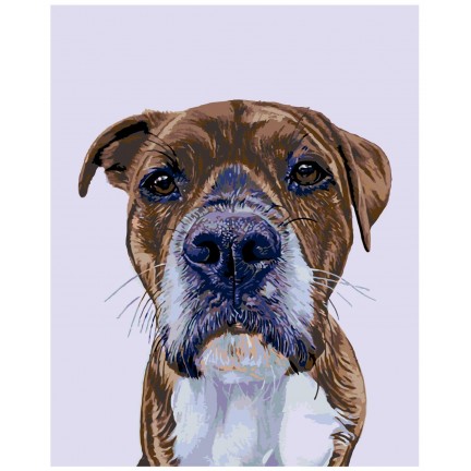 Maalaa numeroilla A254