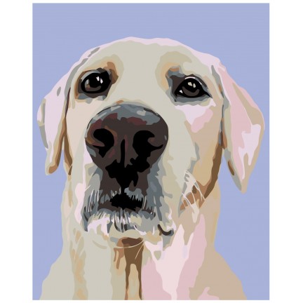 Maalaa numeroilla A259