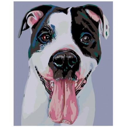 Maalaa numeroilla A269