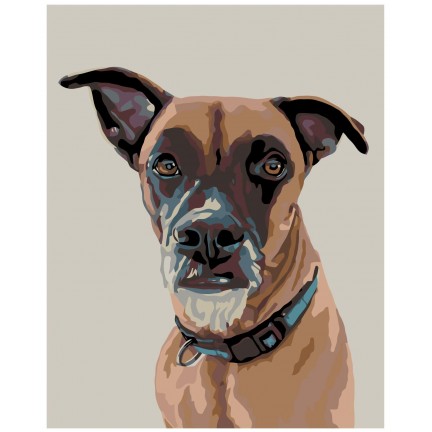 Maalaa numeroilla A271