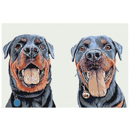 Maalaa numeroilla A302