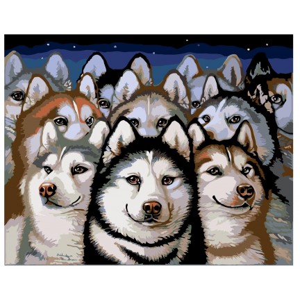 Maalaa numeroilla A306