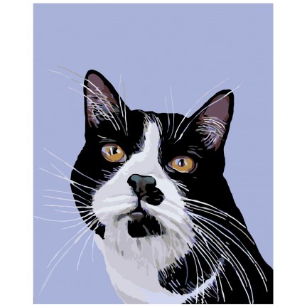 Maalaa numeroilla A310