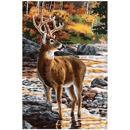 Maalaa numeroilla A356