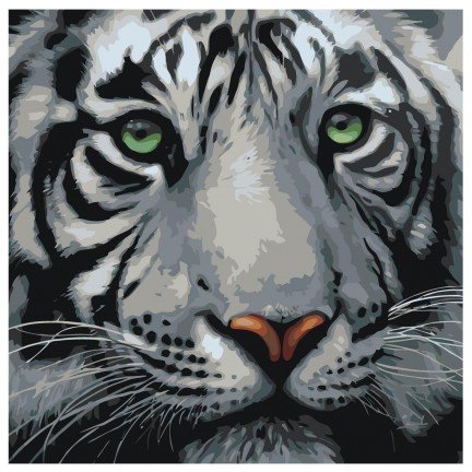 Maalaa numeroilla A373