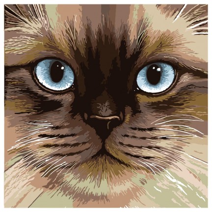 Maalaa numeroilla A384