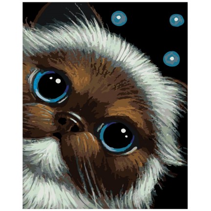 Maalaa numeroilla A413