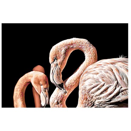 Maalaa numeroilla A431