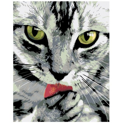 Maalaa numeroilla A434 Maalaa numeroilla A434