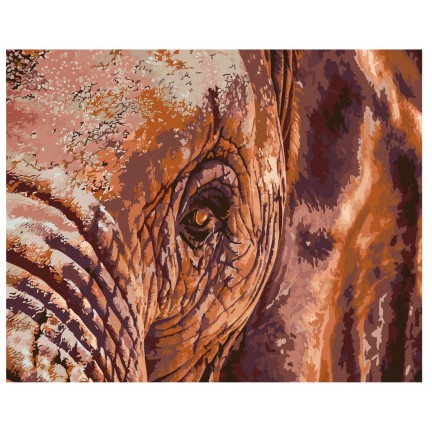 Maalaa numeroilla A435